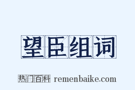 望臣组词是什么意思的图片